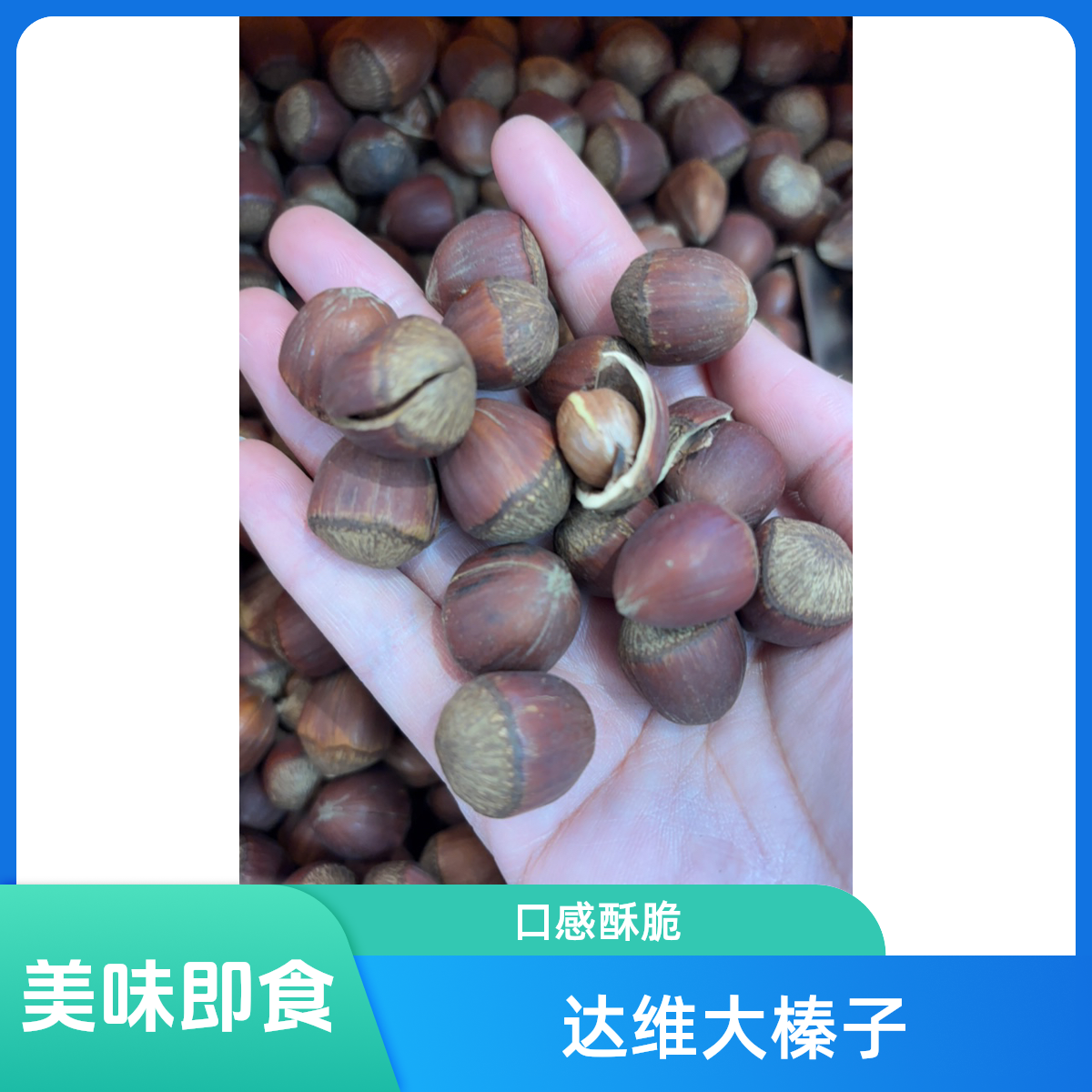达维大榛子500克坚果零食批发
