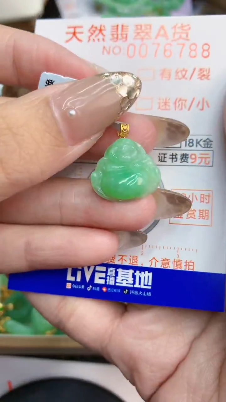 翡翠18K金镶嵌颈饰             8