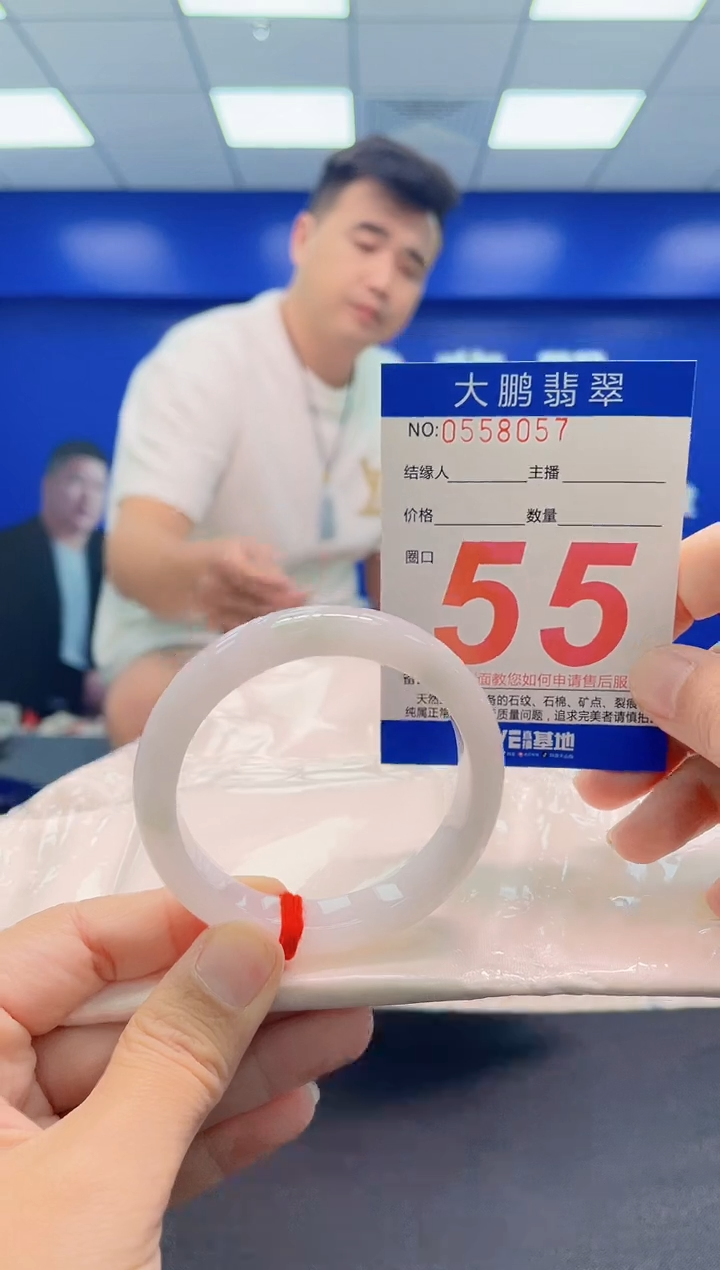 未镶嵌手镯翡翠AAAAAAAAA