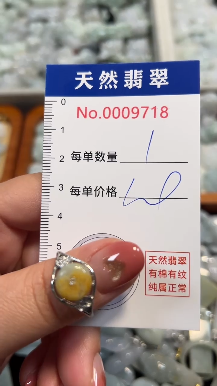 翡翠未镶嵌吊坠(不含链)9718