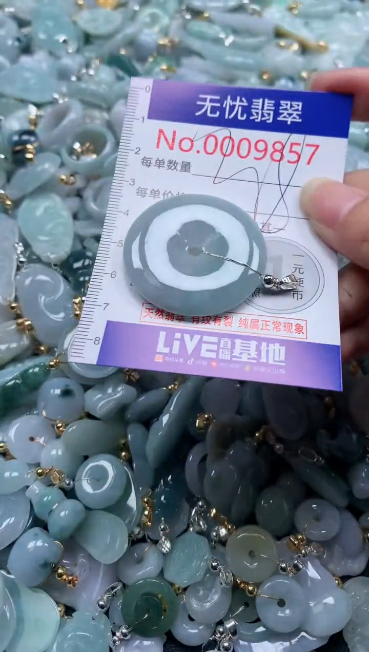 翡翠未镶嵌吊坠(不含链)9857