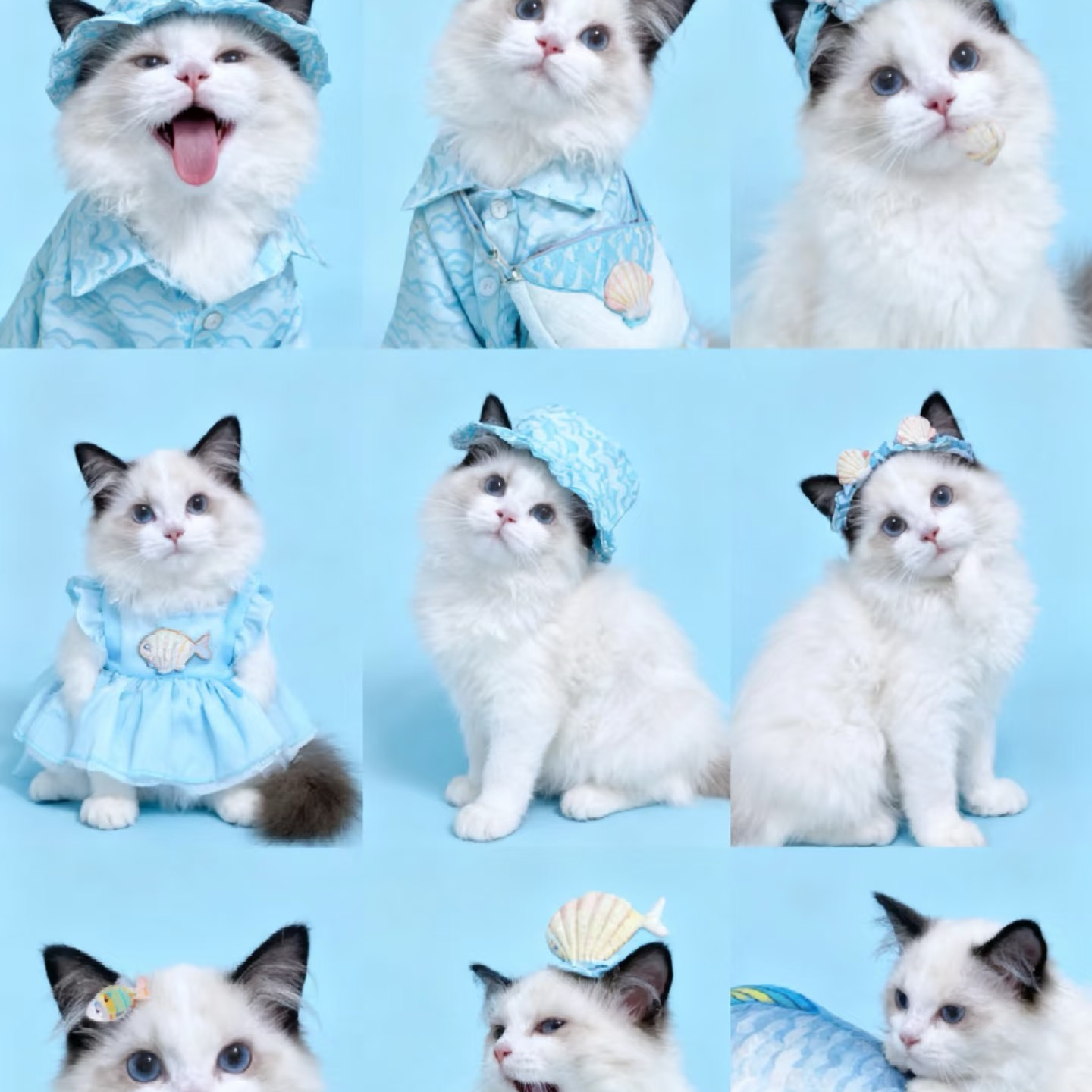 【瑞瑞小东西】全品类小可爱一对一对接，不喜欢全额退