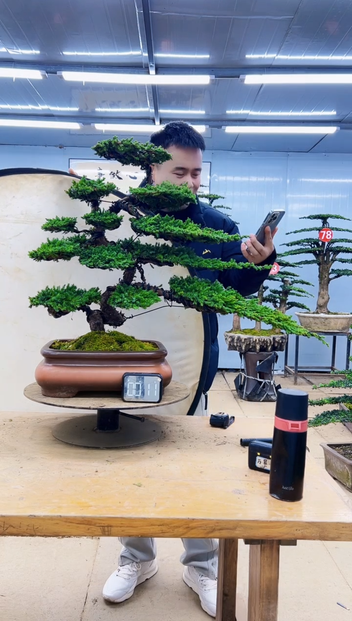 无花朵0000000000000000000000