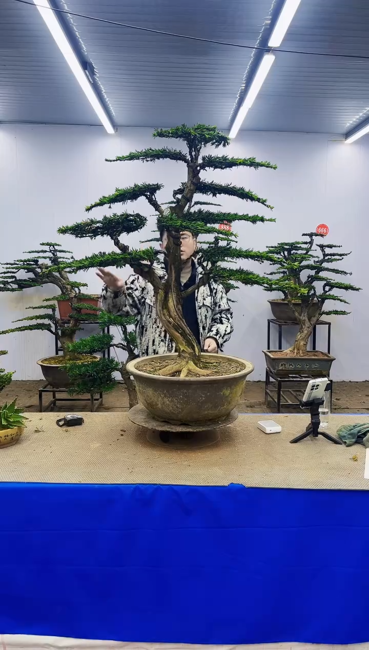 完全开放一物一拍，所见即所得