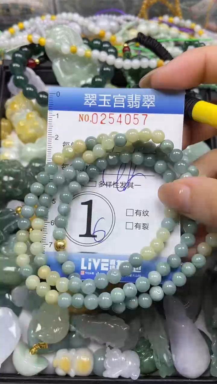 颈饰未镶嵌翡翠闪购C0254057
