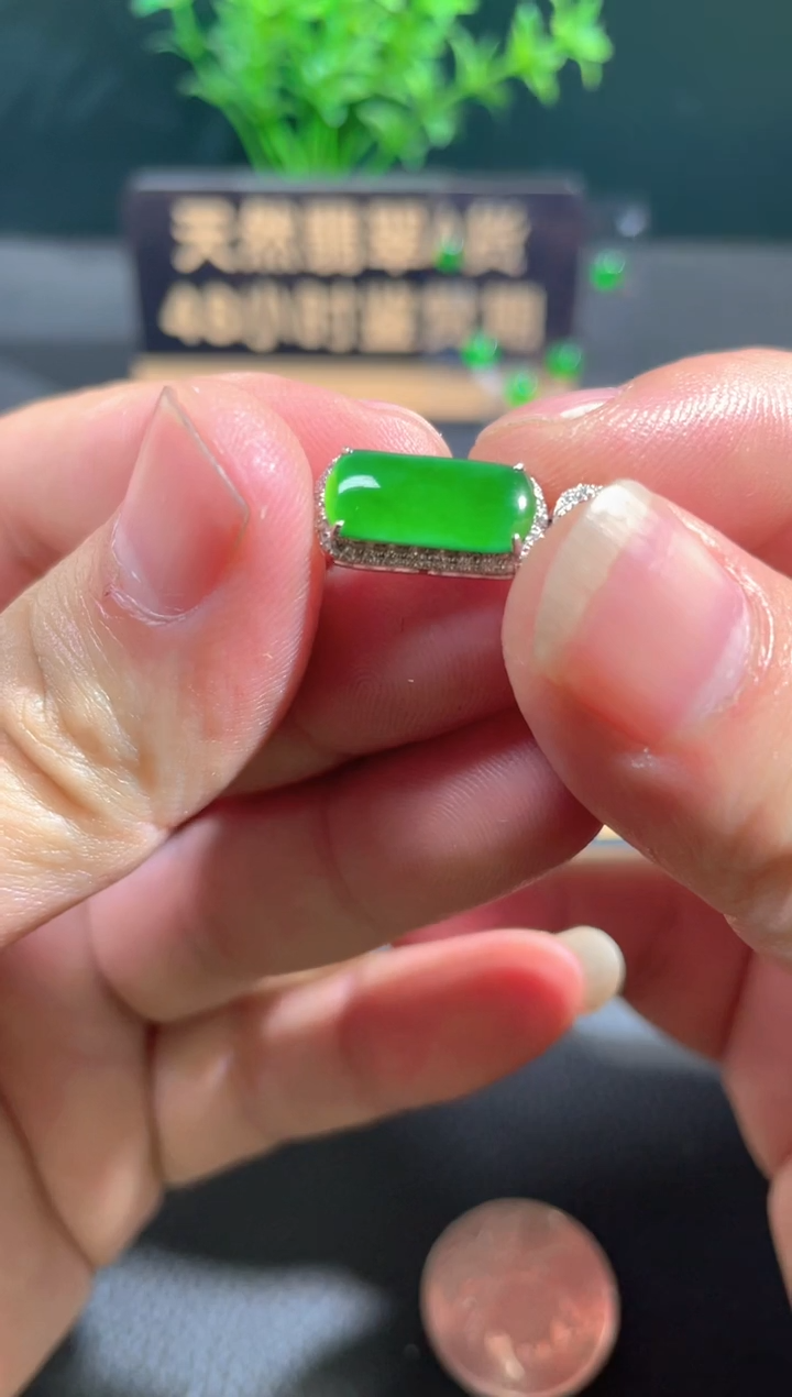 【闪购商品】翡翠颈饰18K金镶嵌翡翠