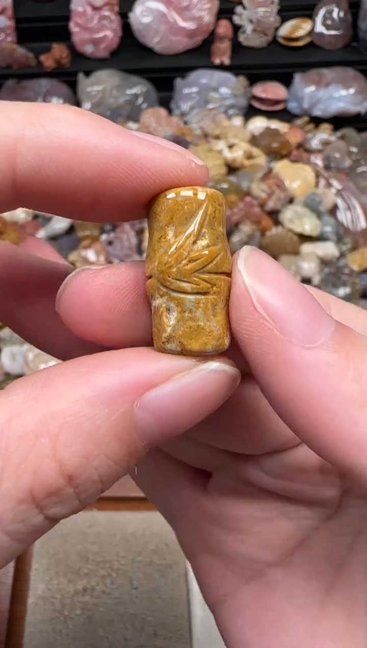 颈饰未镶嵌硅化珊瑚（珊瑚玉）580