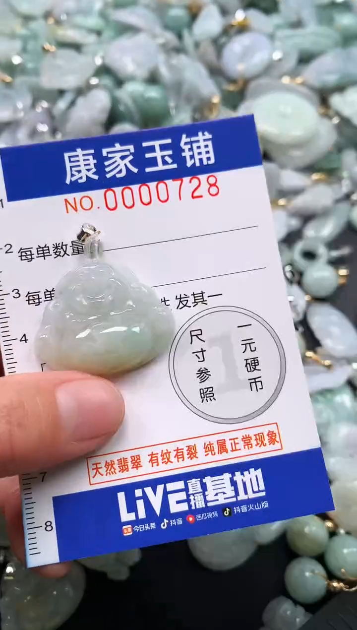 颈饰未镶嵌翡翠728