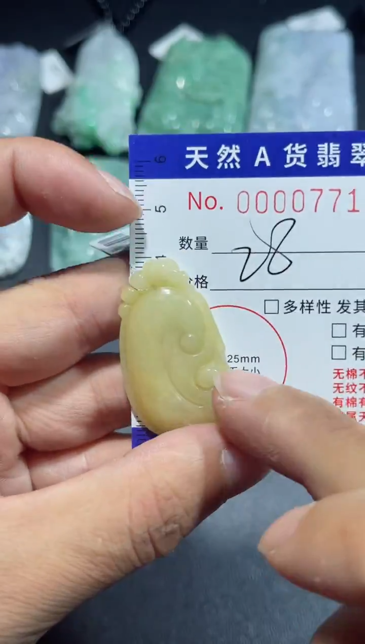 【闪购商品】翡翠颈饰未镶嵌00000771