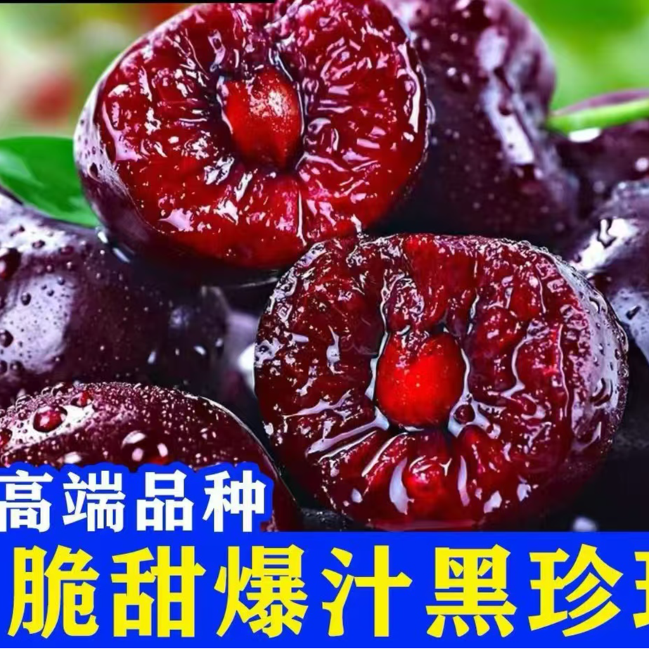 智利拉宾斯车厘子2JD礼盒装（5斤装）