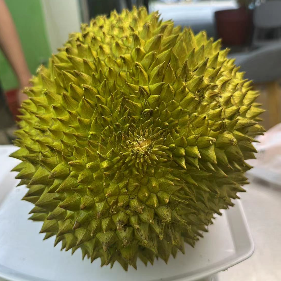 金枕新鲜榴莲 果核小核金枕  一物一拍 500g（部分中核）金枕越南
