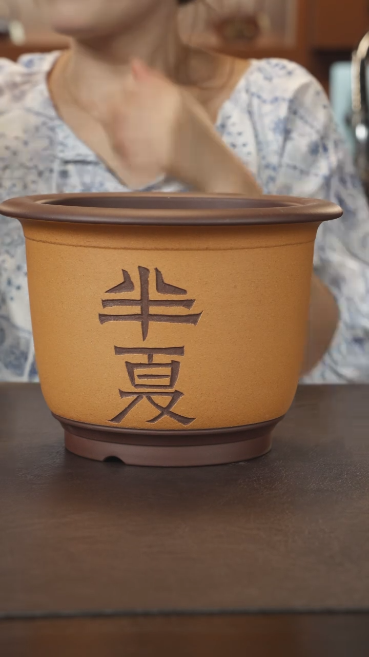 紫砂花盆紫泥粉绿半夏花盆