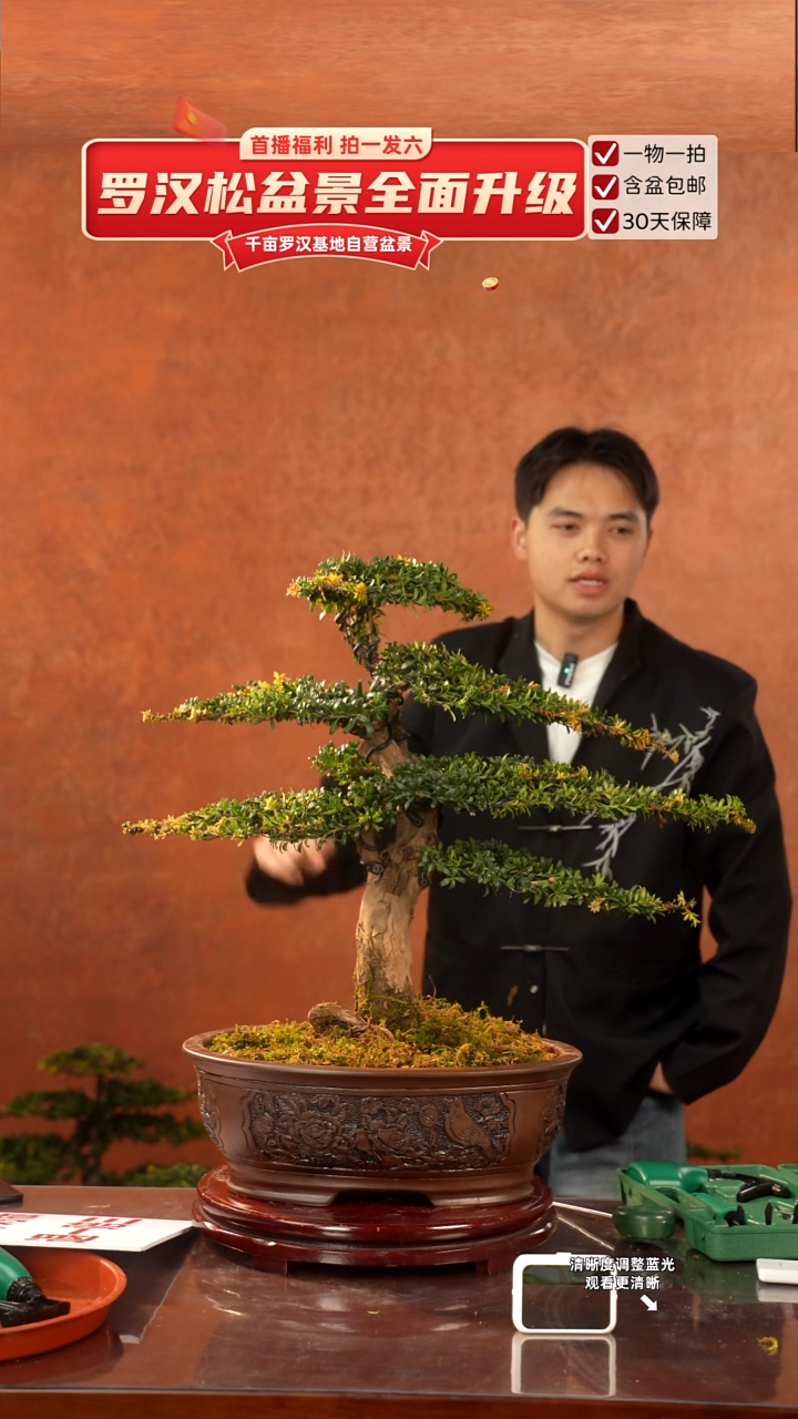 以实际为准专属于 林 大哥的专属闪购链接