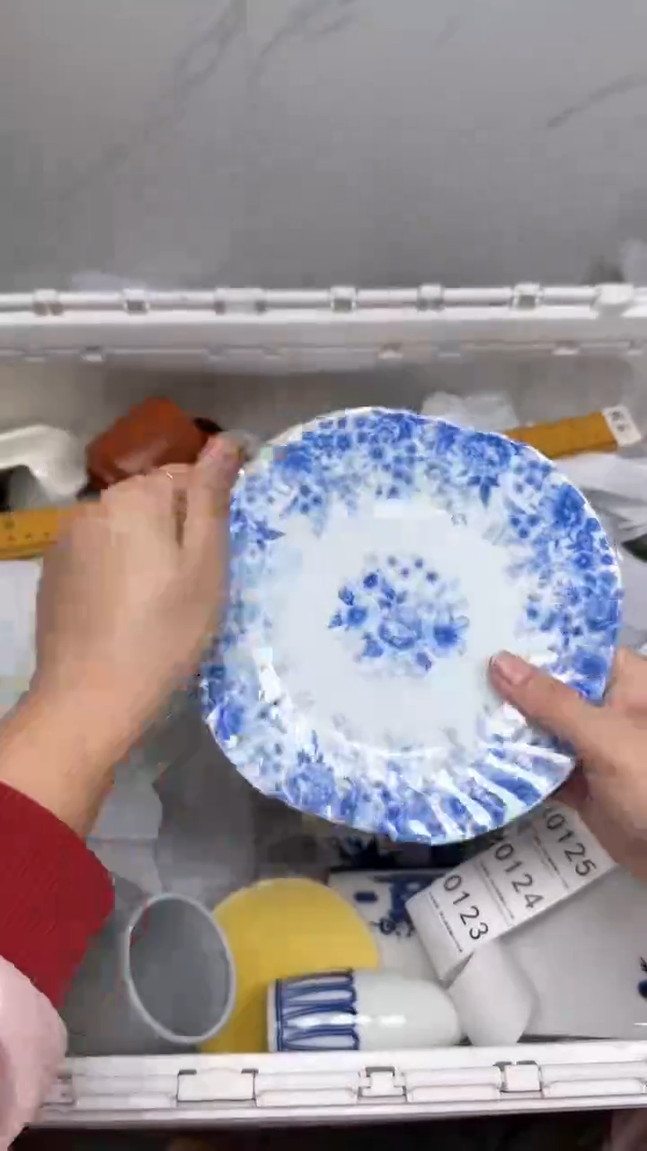 【闪购商品】123回流瓷器默认微瑕，18.8包邮