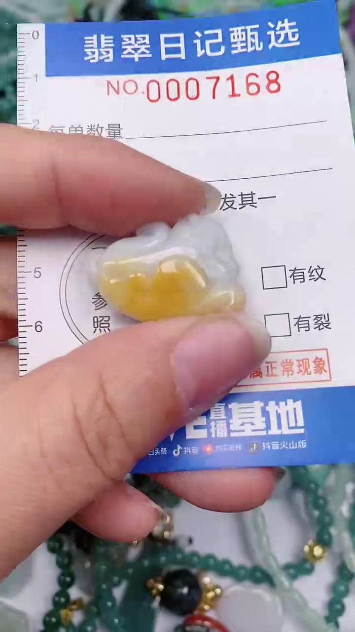【闪购商品】翡翠颈饰未镶嵌00007168