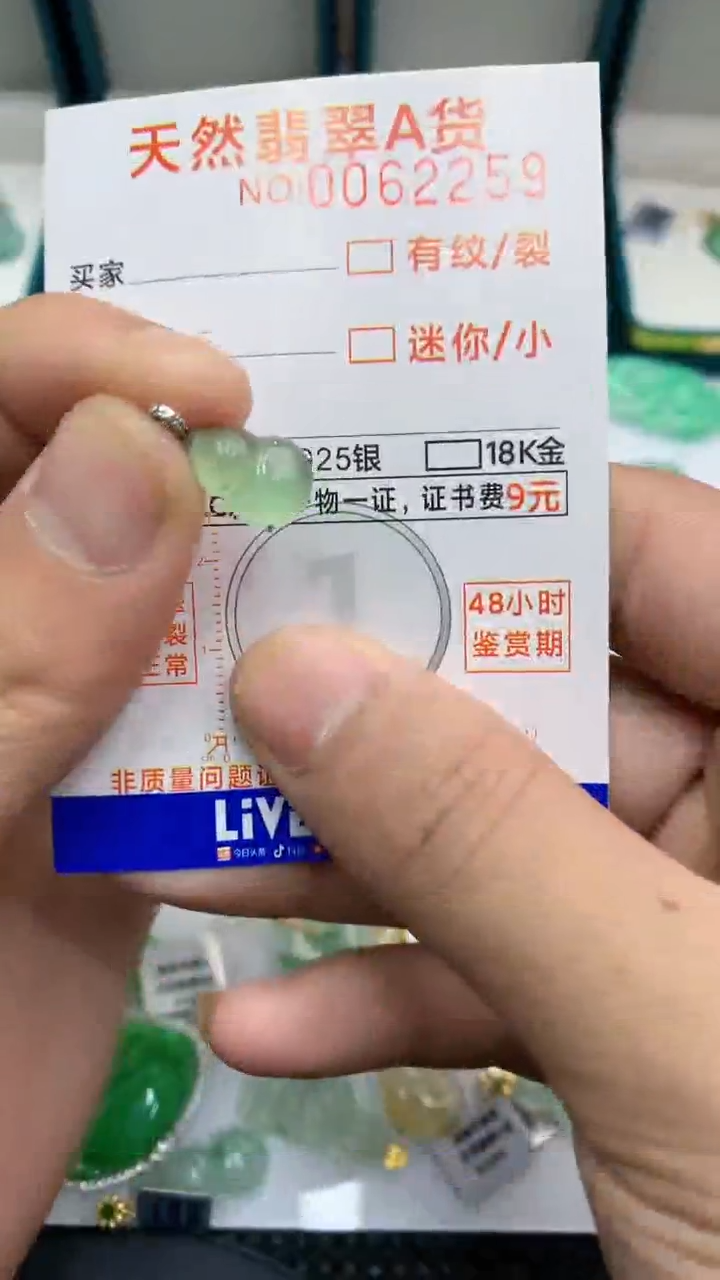 【闪购商品】翡翠颈饰18K金镶嵌            8
