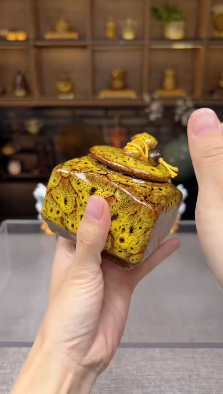 【闪购商品】无尽藏 专属福利单 VVV 