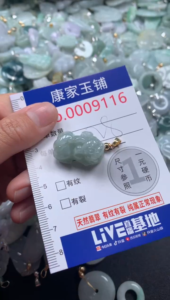 颈饰未镶嵌翡翠9116