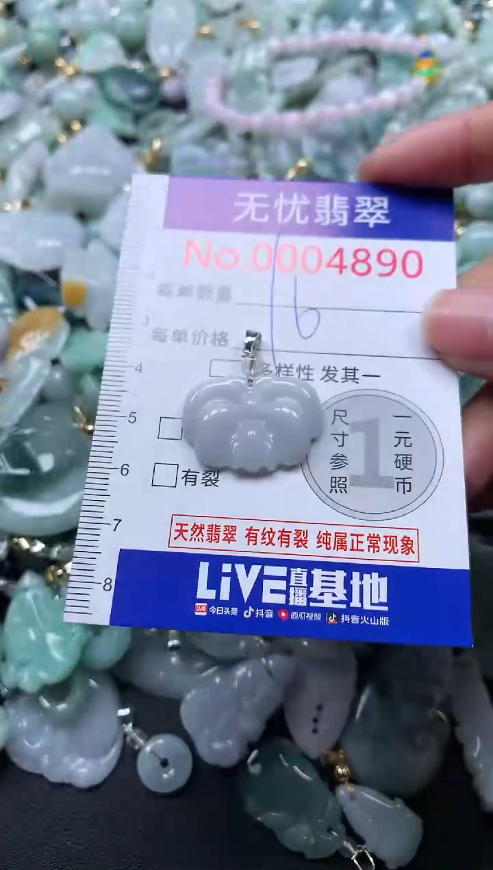 颈饰未镶嵌翡翠4890