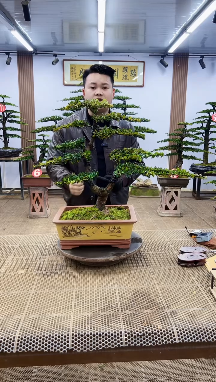 【闪购商品】00000000