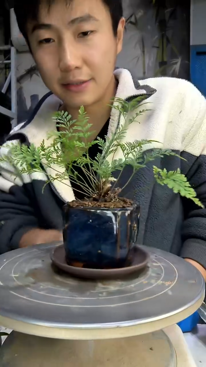 丽*?中青园艺一物一拍花70