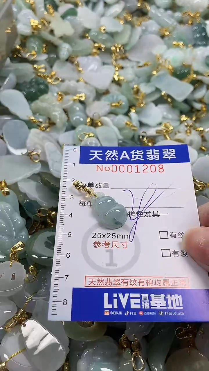 颈饰未镶嵌翡翠纯天然a货翡翠