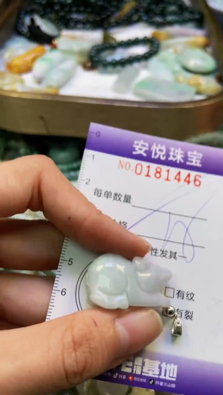 翡翠未镶嵌颈饰闪购0181446多样性发其一