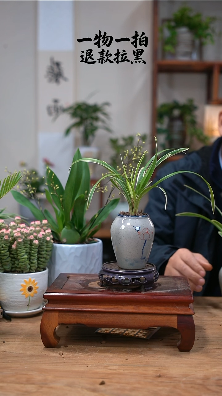 完全开放?****?兰花452