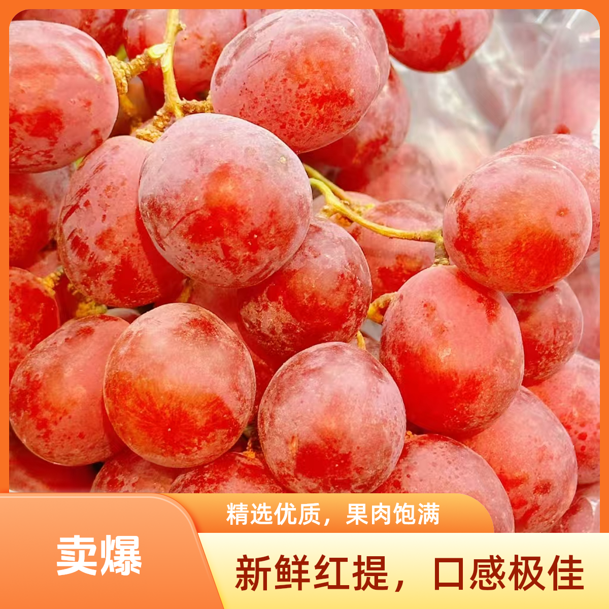 智利红提500g红提
