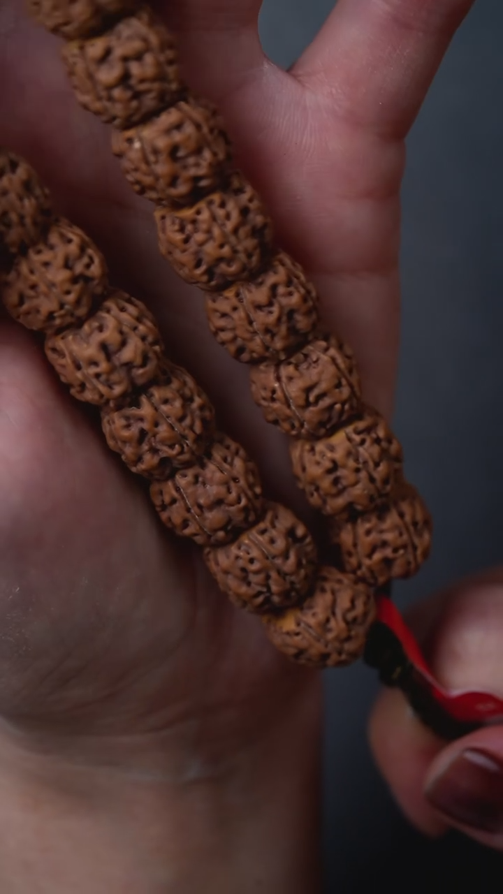 手串金刚菩提S01火焰盘龙