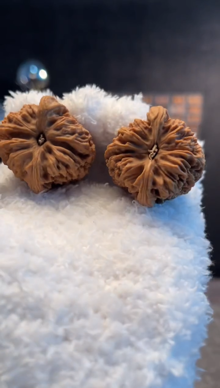 吊坠文玩核桃小*风南将