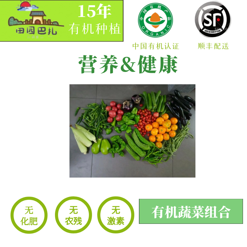 【有机特惠】田园巴扎随机蔬菜3公斤大福利