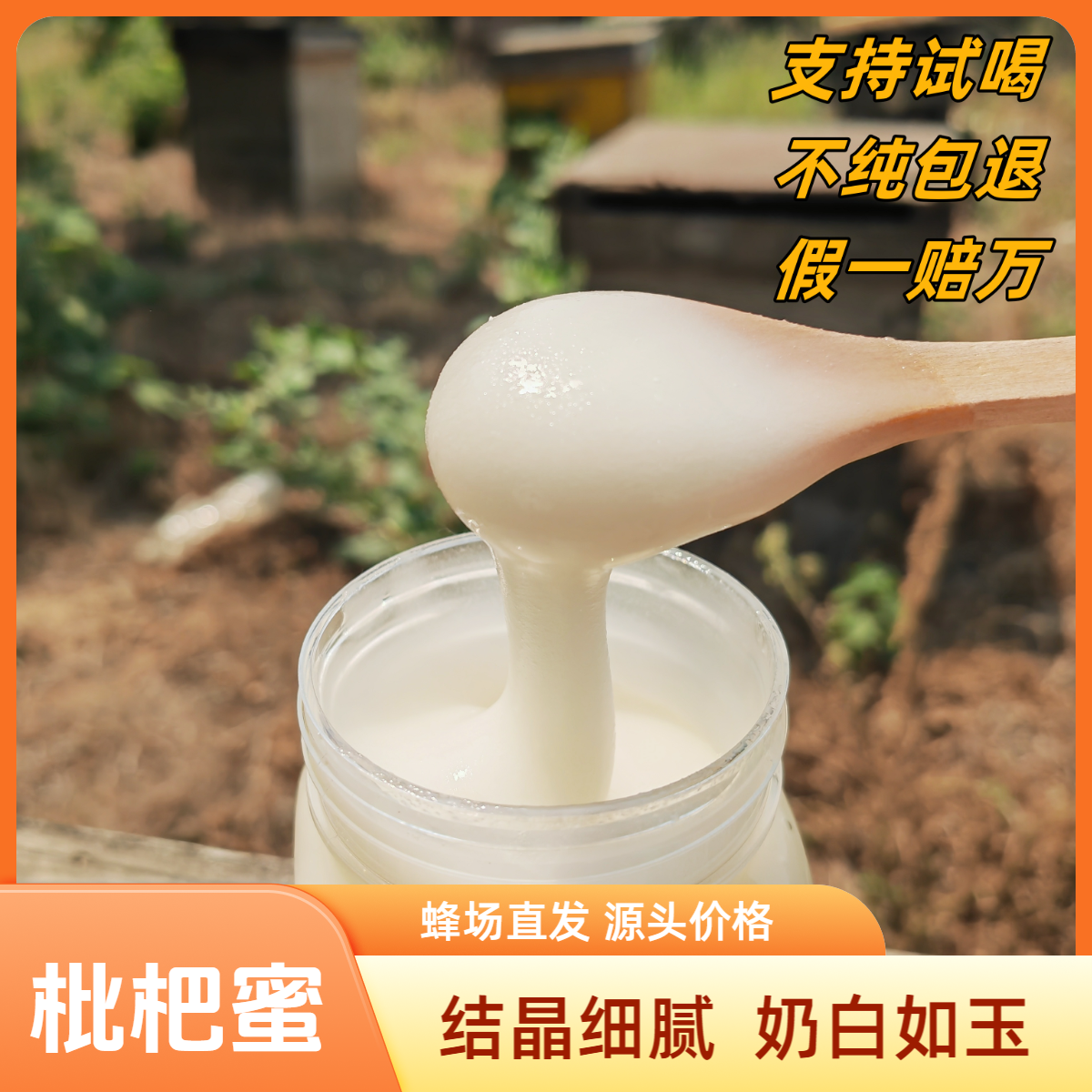 【枇杷蜜2斤】2025年新蜜东山白玉枇杷蜜 结晶白蜜雪蜜枇杷雪蜜