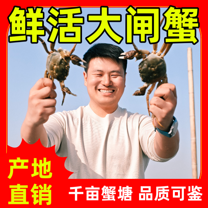 活蟹 邂畅大闸蟹 母蟹2.8-3.1两 8只 高邮湖千亩蟹塘 产地直发