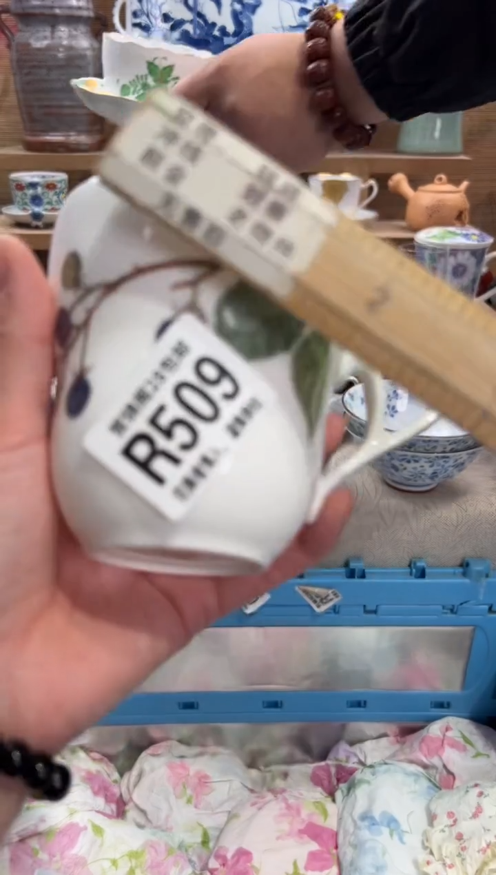 瓷片岳*       R509