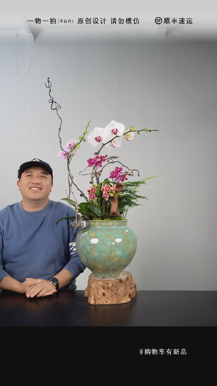 【闪购商品】012号链接【一物一拍】艺术盆景