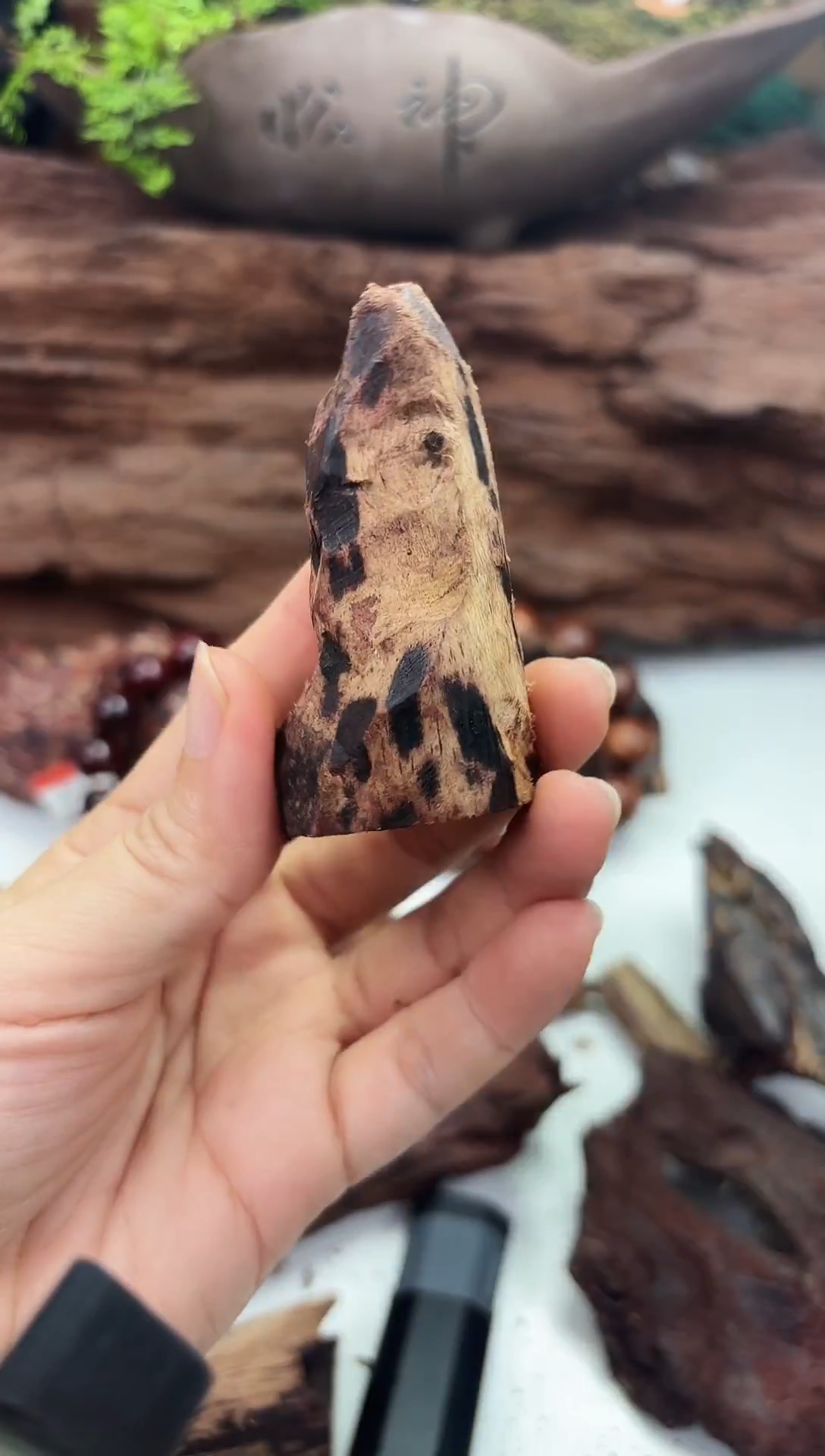 木木本降真香海南红降原料随形手把件17g