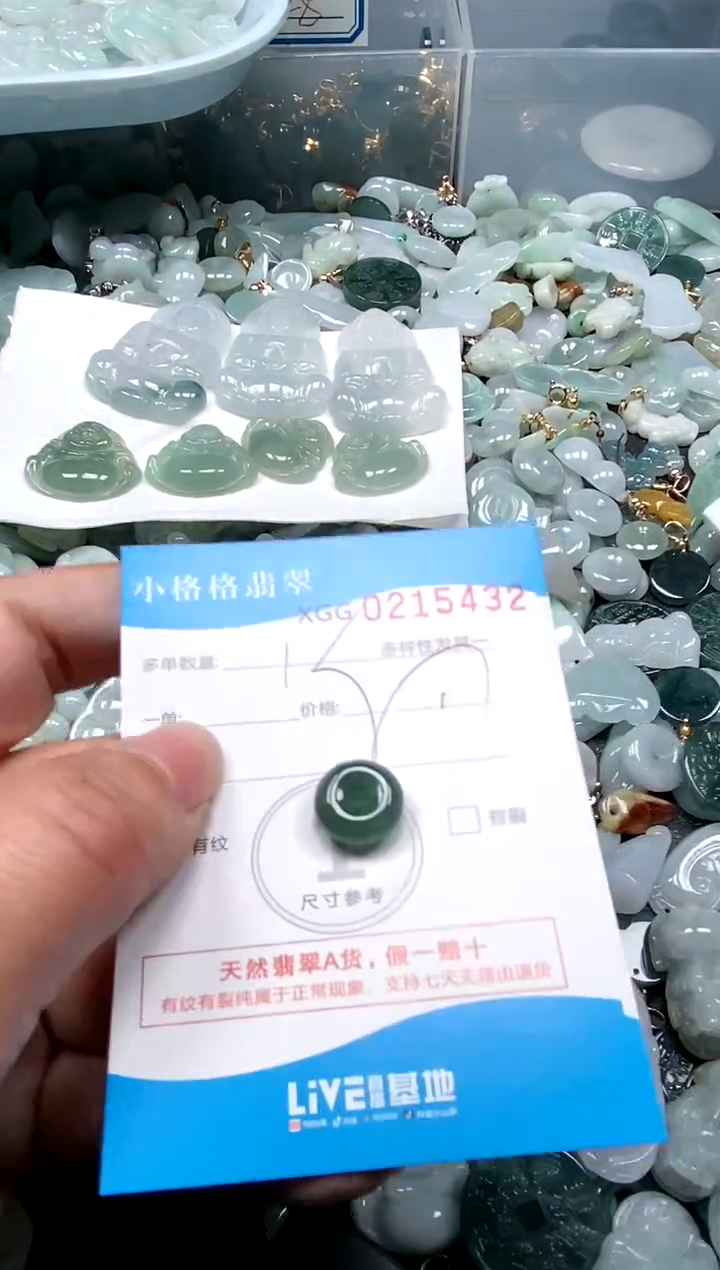 【闪购商品】翡翠颈饰未镶嵌闪购商品0215432