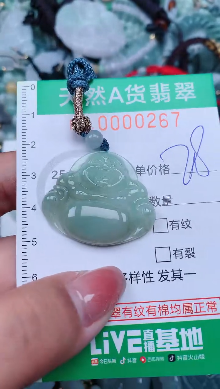 【闪购商品】翡翠颈饰未镶嵌.0000267