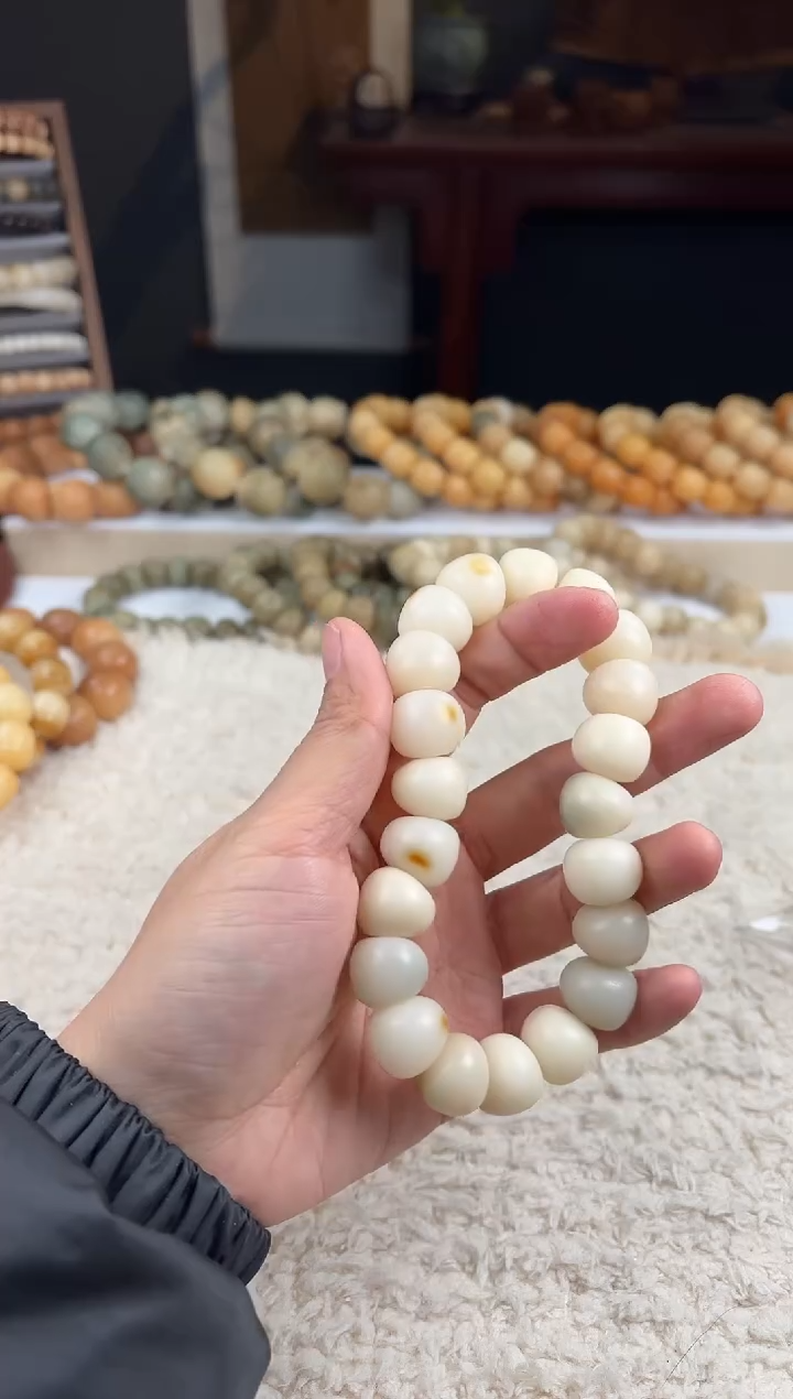 【闪购商品】菩提根/象牙果手串15大肠（739）