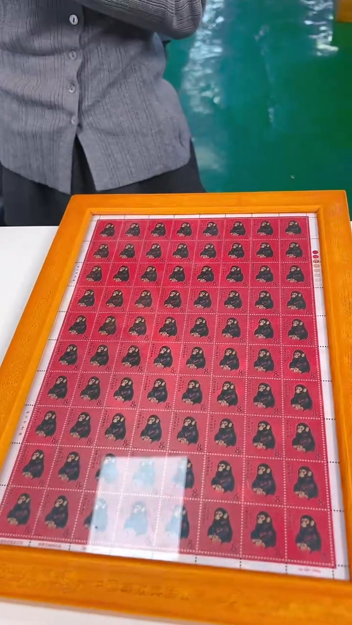 银猴大版银猴大版