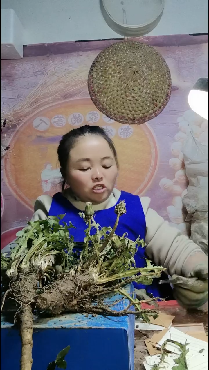 少量花朵（建议范围：2朵-5朵 或40%以下）寒*蒲公英