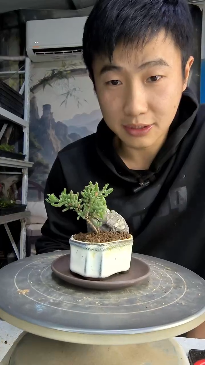 真****熊中青园艺一物一拍花254