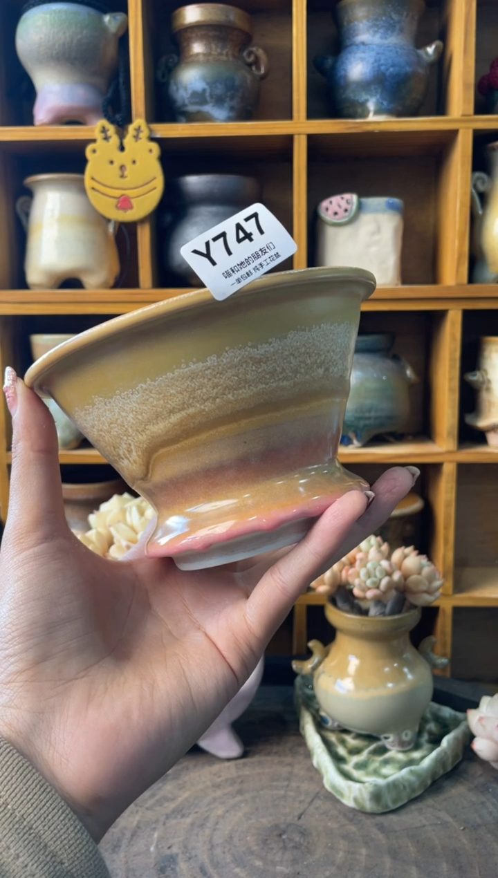 747内口11【多肉花盆多肉盆】