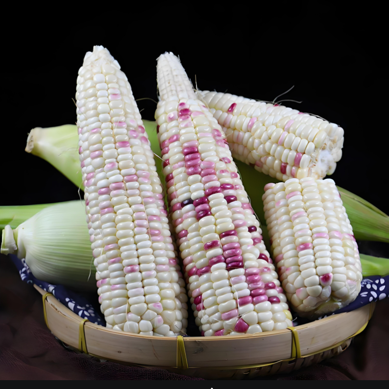 上海金山本地新鲜嫩玉米