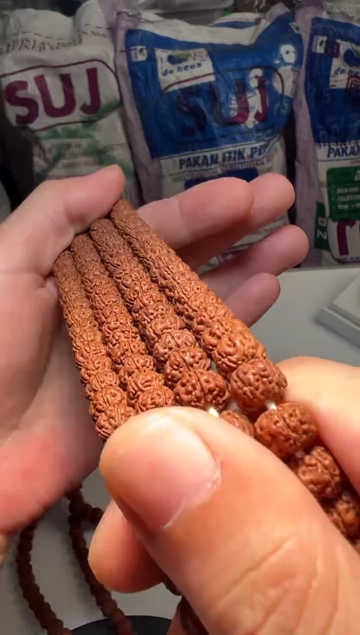 手串金刚菩提无利润超头精挑老树王108-9mm