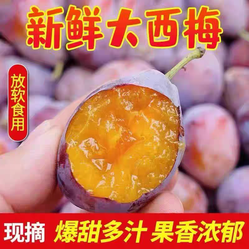 【京东包邮】新鲜现摘正宗西梅酸甜可口饱满多汁当季水果