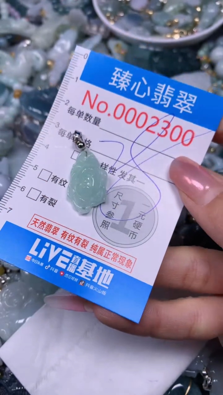 【闪购商品】翡翠颈饰未镶嵌含绳0002300