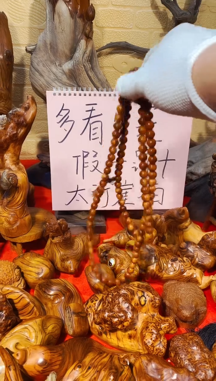 柏木圆圆1.0108崖柏崖柏崖柏