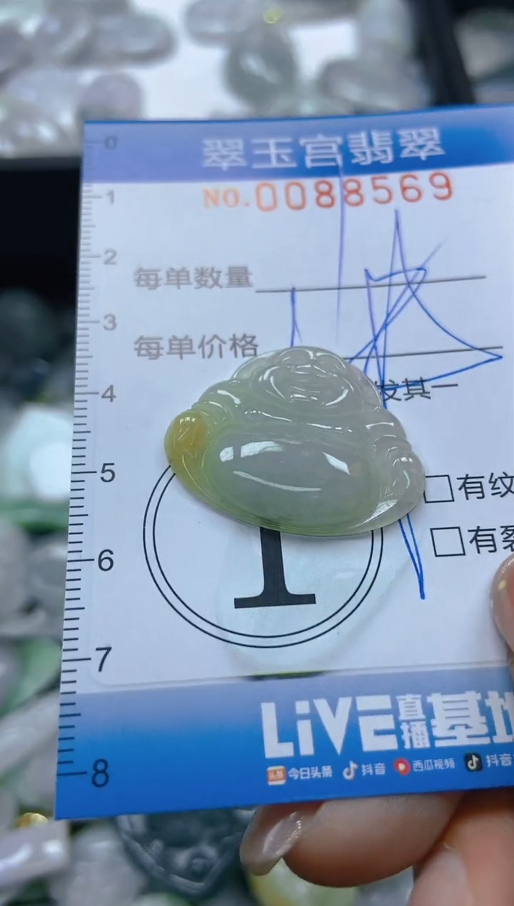 【闪购商品】翡翠颈饰未镶嵌闪购0088569